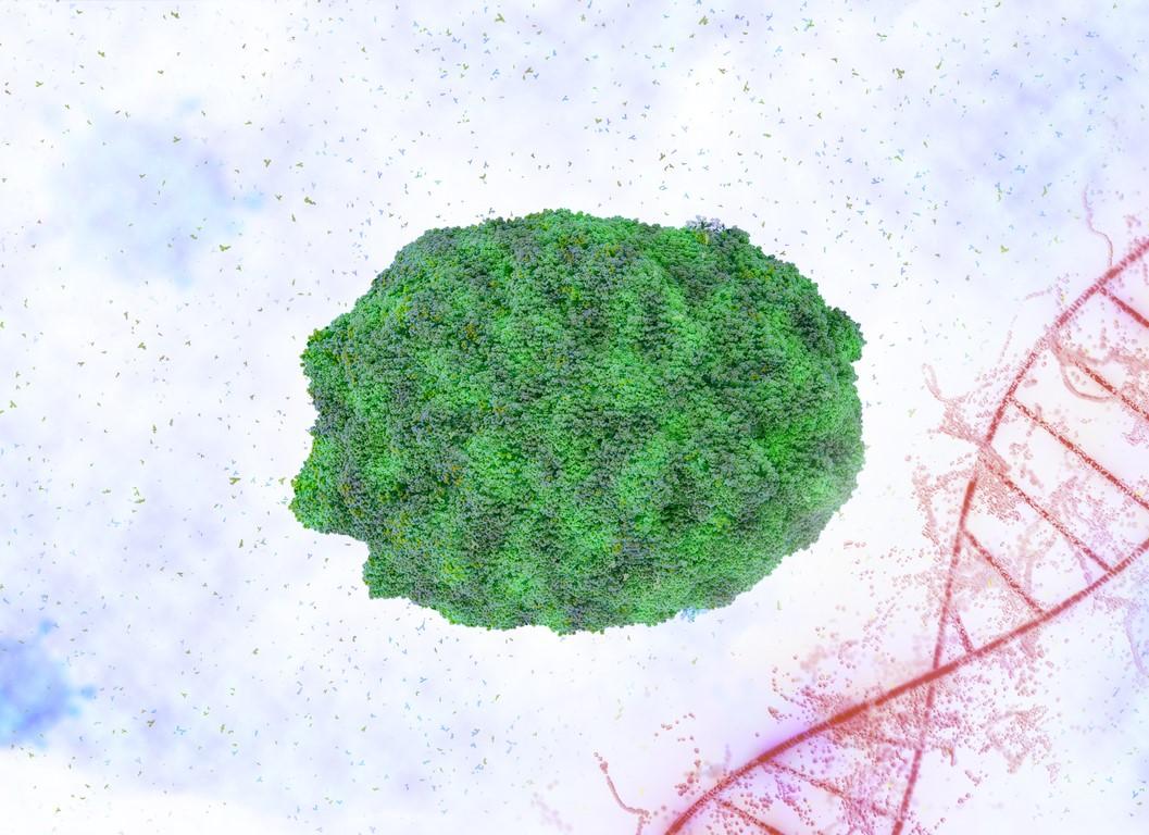 Monkeypox virus illustration