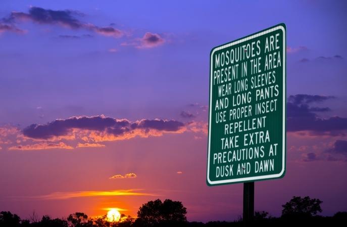 Mosquito sign