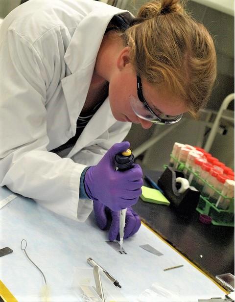 Pipetting in the lab
