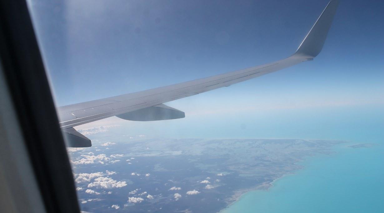 Plane wing