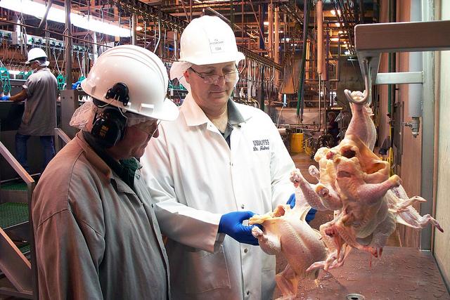 USDA poultry inspectors
