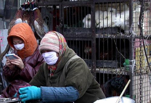 poultry workers