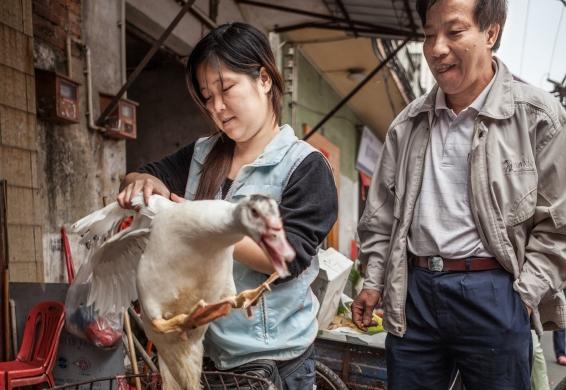 Poultry market
