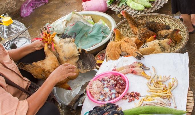 poultry market