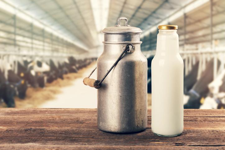 Raw milk in barn
