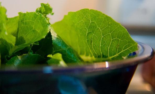Romaine lettuce in a bowl