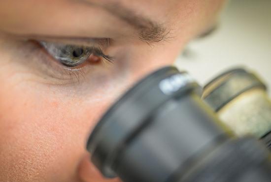 Scientist at microscope