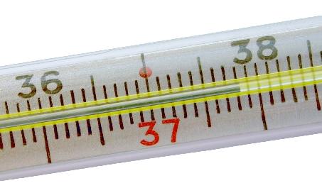 Thermometer