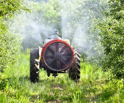 Tractor spraying apple orchard