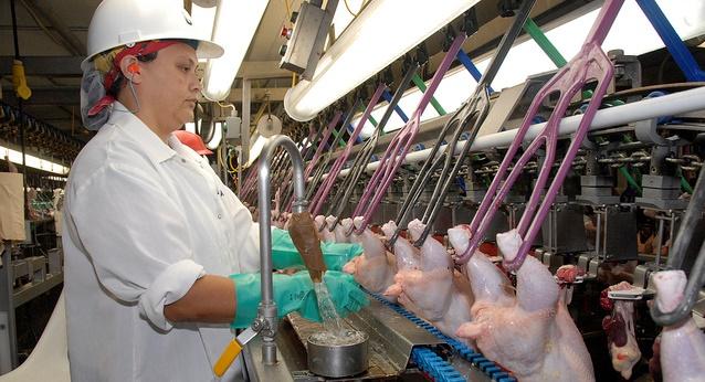 USDA poultry inspector