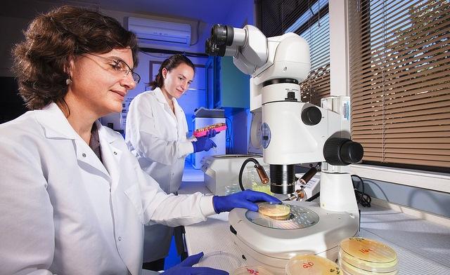 Lab researchers