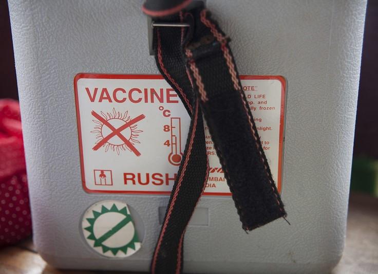 Vaccine cooler
