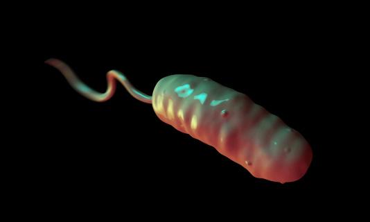 Cholera