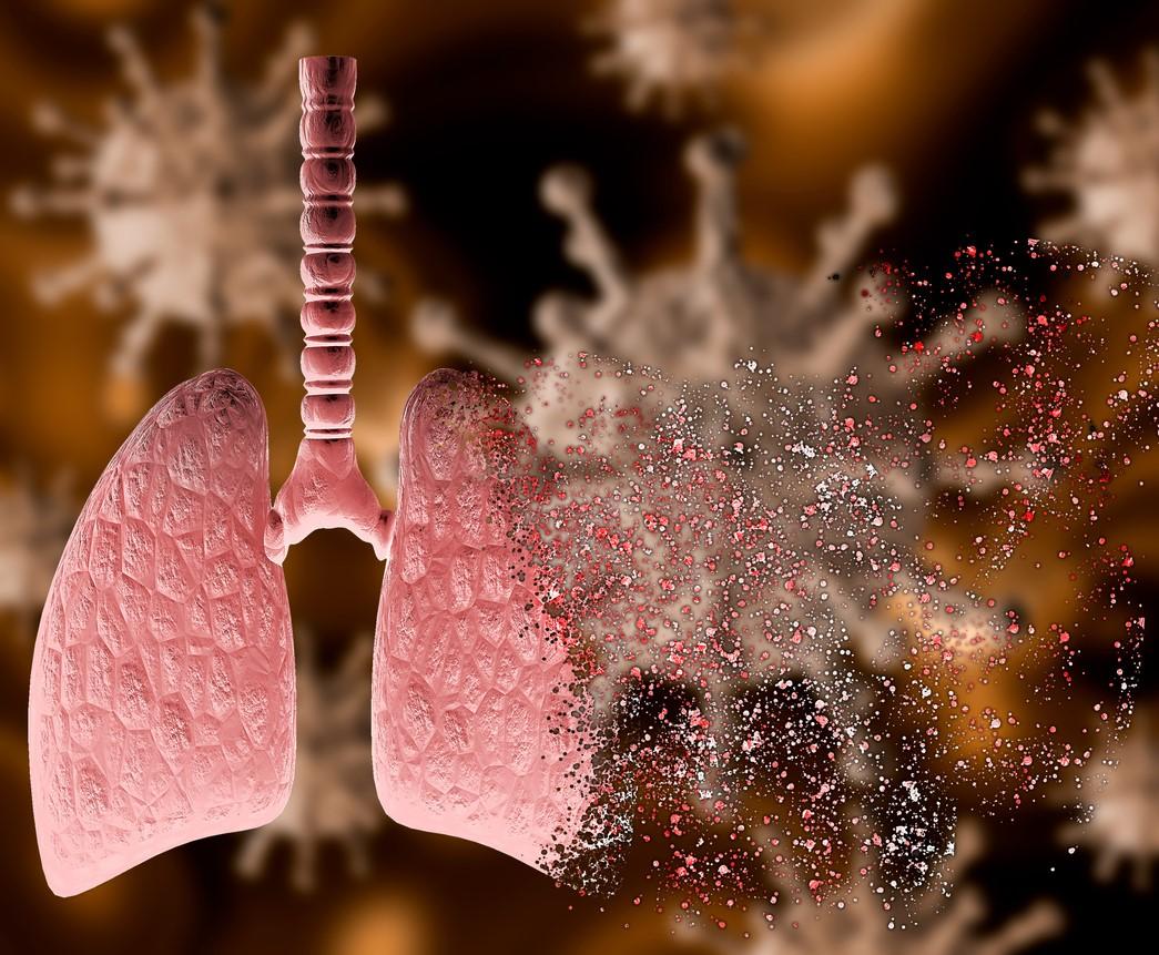 Viruses causing damage to lungs illustration