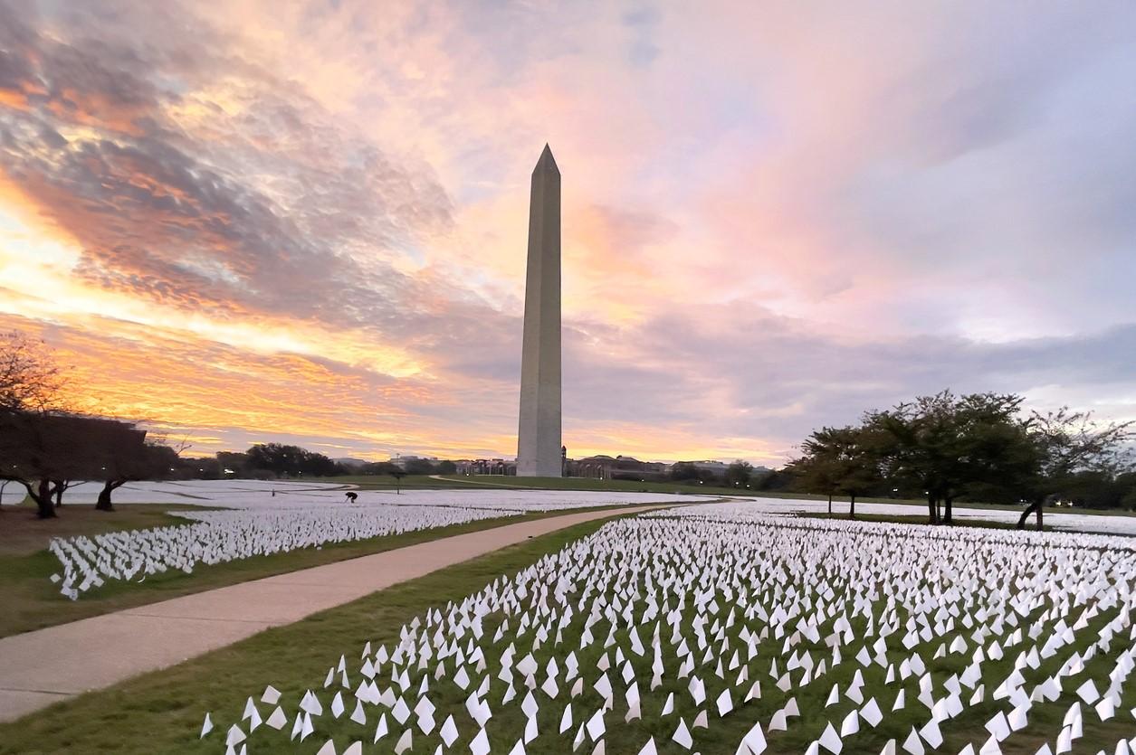 White COVID memorial flags and the Washington Monument
