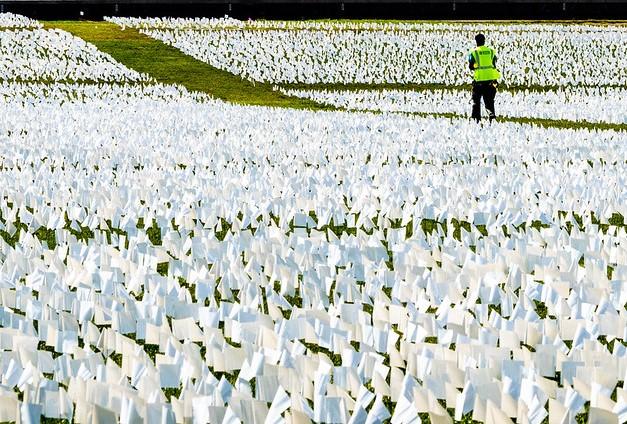 Field of white flags signifying US COVID deaths