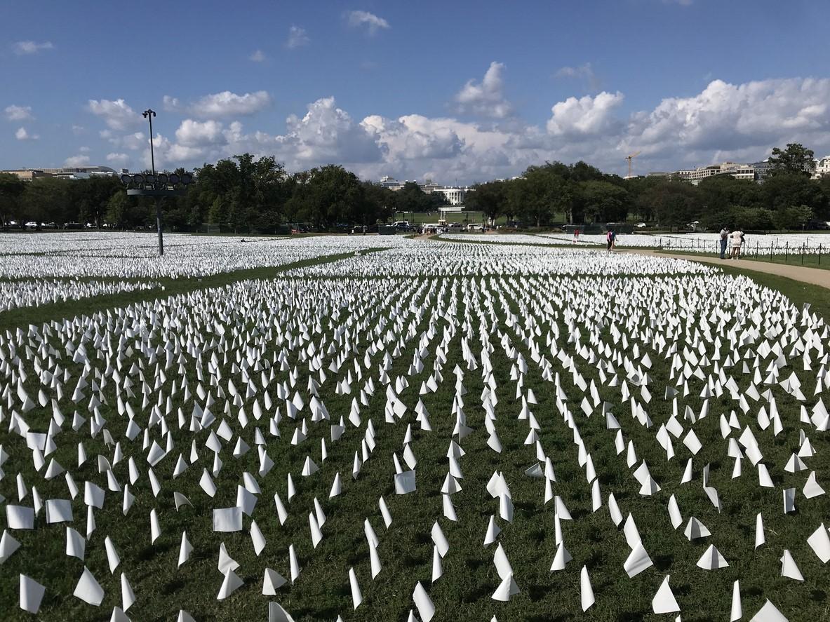 White flag COVID death memorial in front of White House