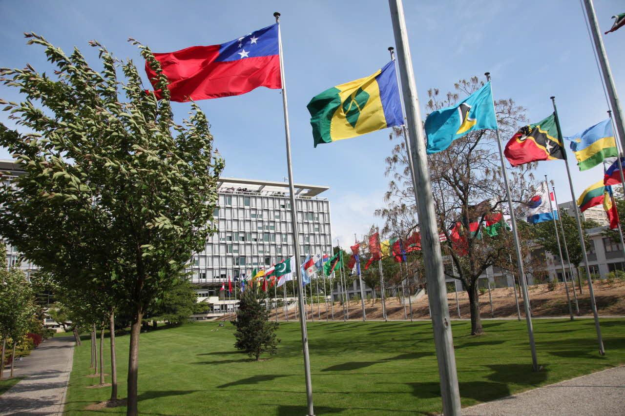 WHO headquarters building