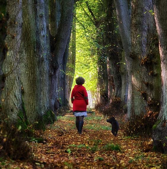 Woman walking dog under trees