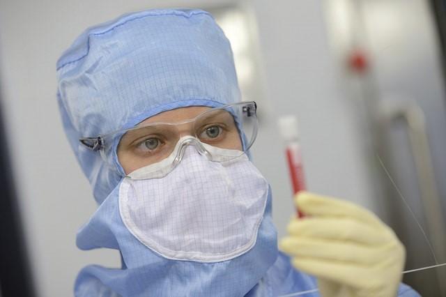Yellow fever vaccine production
