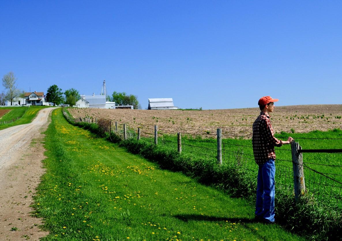 Farmer looking over his fields