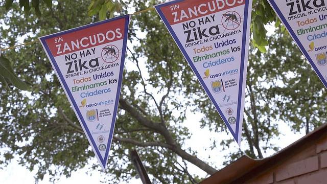 Zika banners