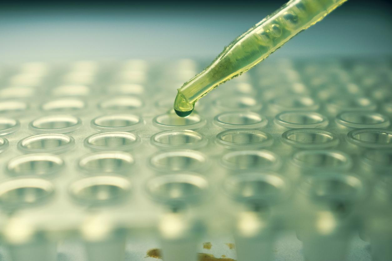 Zika pipette
