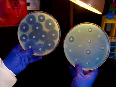 Carbapenem-resistant Enterobacterales