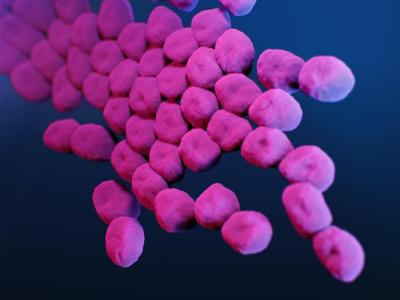 Carbapenem-resistant Acinetobacter baumannii