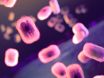 mpox virus 