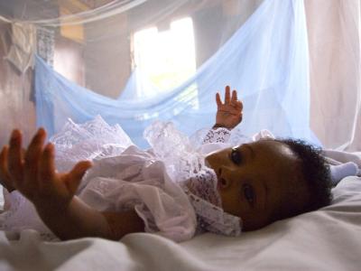mosquito net
