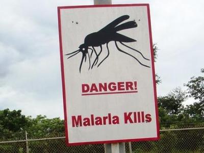 Sign saying malaria kills