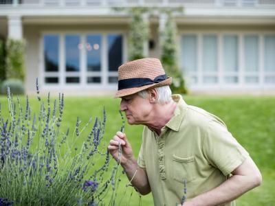 Man smelling lavender