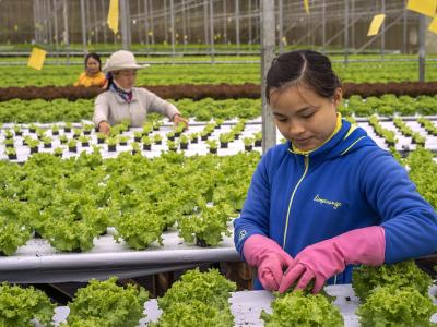 Migrant farm workers