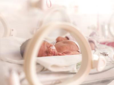 Premature infant in incubator