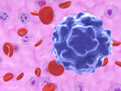 Parvovirus illustration