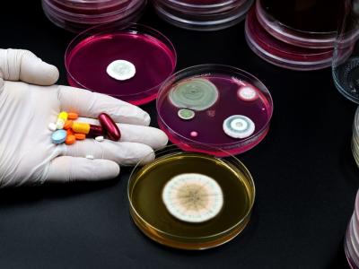 Pills and petri dishes