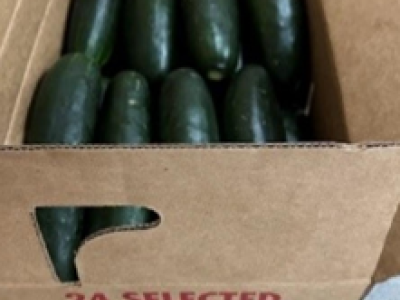 Recalled cucumbers