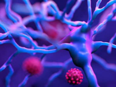 Synapse and COVID