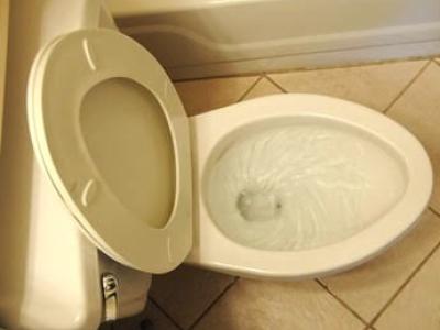 Flushing toilet