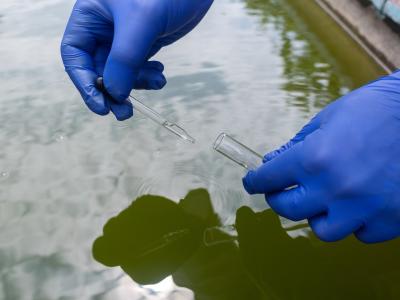 Wastewater treatment and gloved hands