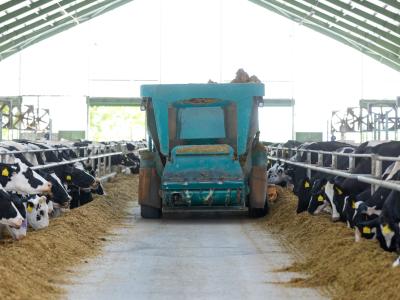 dairy farm feed truck