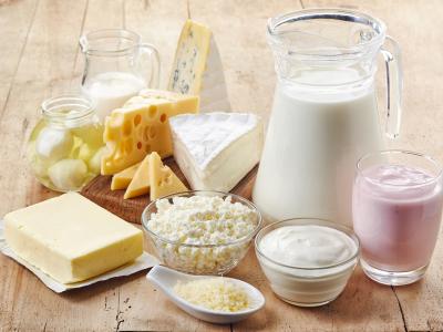 dairy products
