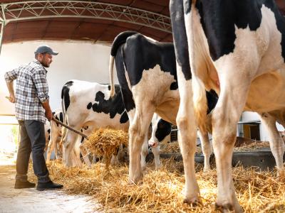 dairy worker