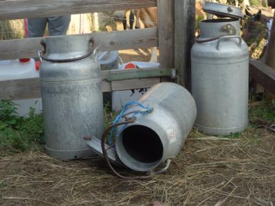 empty milk cans