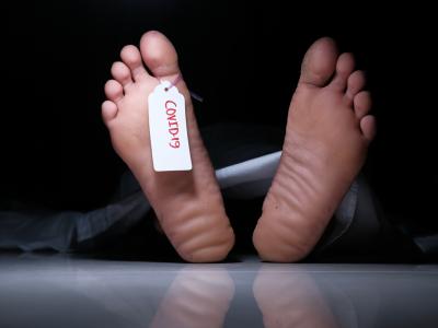 covid 19 deaths 