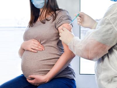 pregnant vax