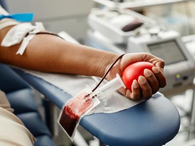 blood donation 