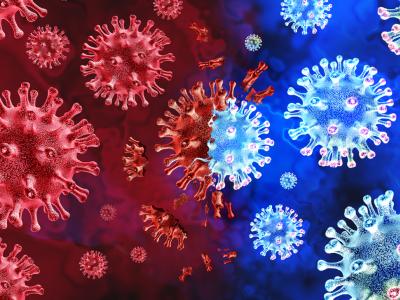 virus