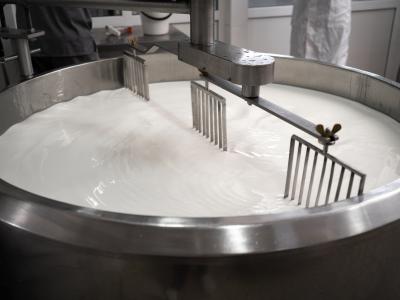 dairy 